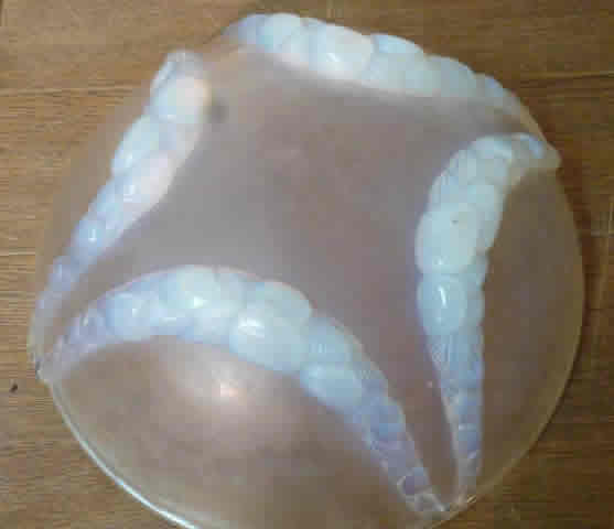 R. Lalique Villeneuve Bowl