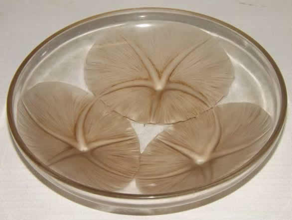 R. Lalique Volubilis Bowl