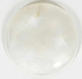 R. Lalique Volubilis Bowl