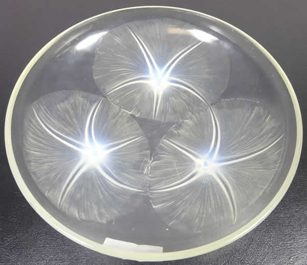R. Lalique Volubilis Coupe