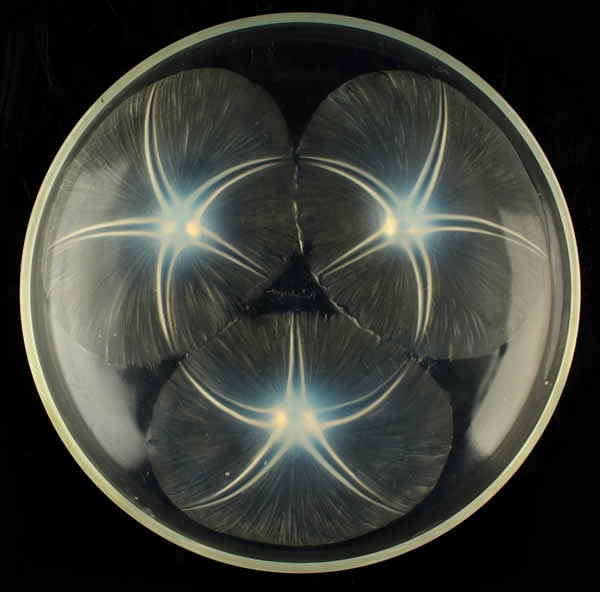 R. Lalique Volubilis Coupe