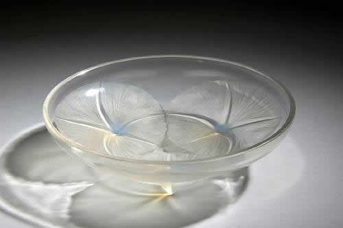 R. Lalique Volubilis Bowl