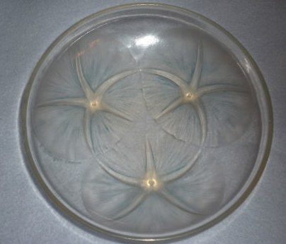 R. Lalique Volubilis Coupe