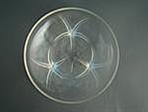 R. Lalique Volubilis Bowl