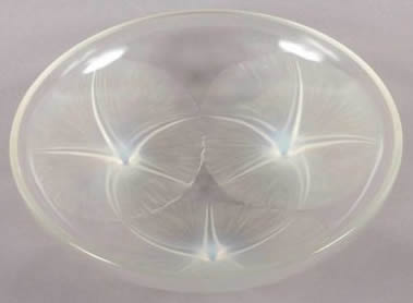 R. Lalique Volubilis Shallow Bowl