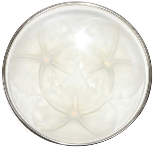 R. Lalique Volubilis Shallow Bowl