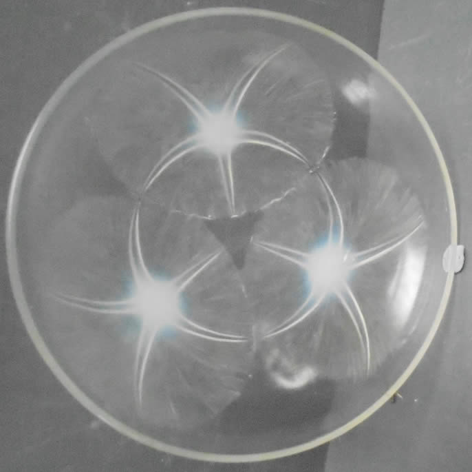 R. Lalique Volubilis Shallow Bowl