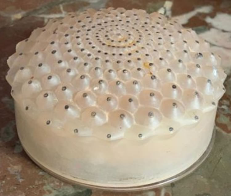 R. Lalique Cactus Box
