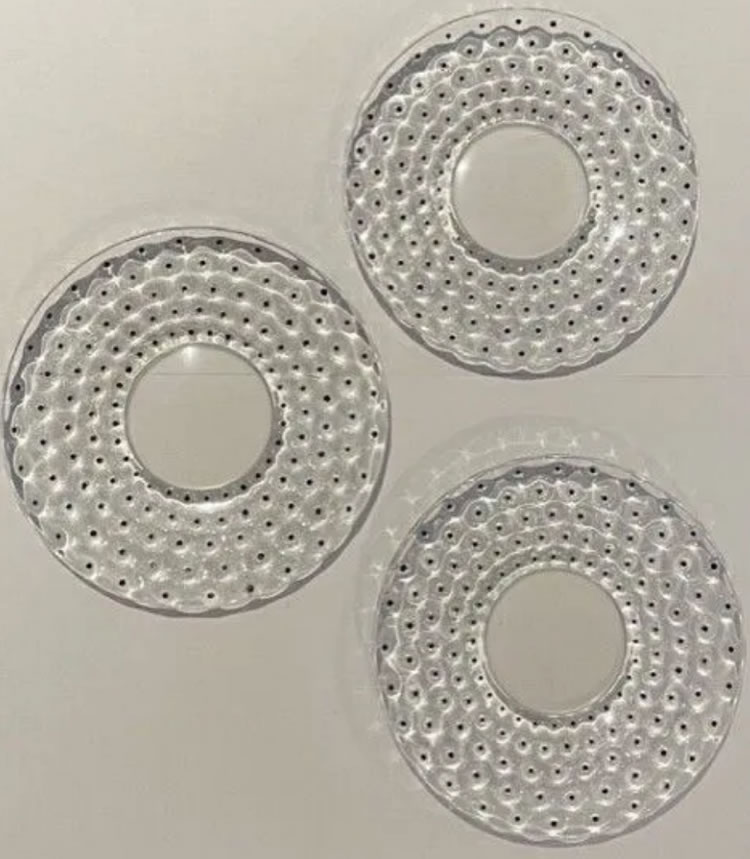 R. Lalique Cactus-3 Assiette