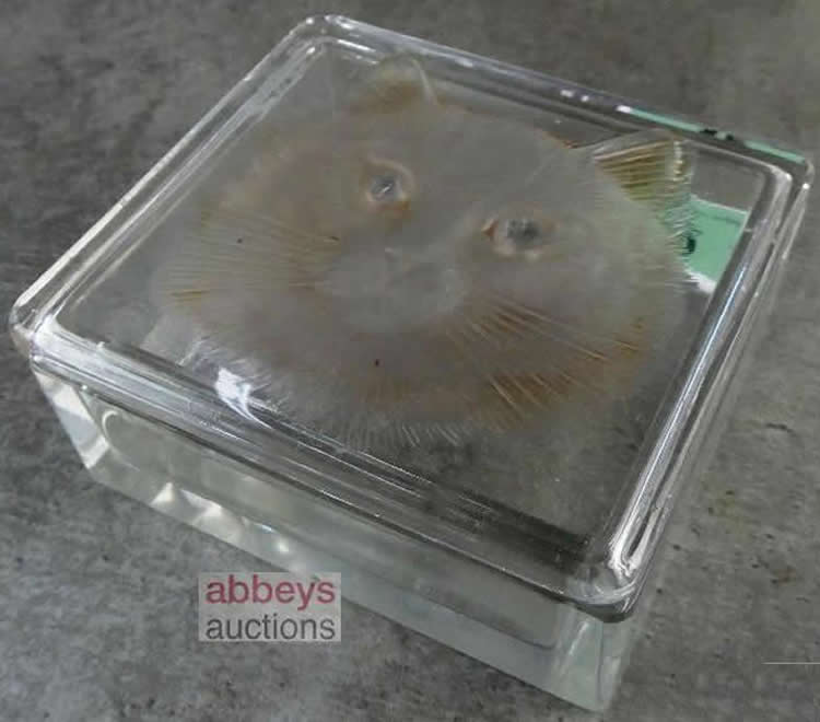 R. Lalique Chat Box