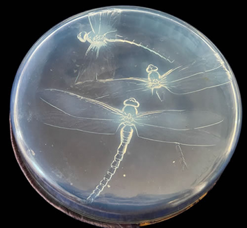R. Lalique Georgette Box