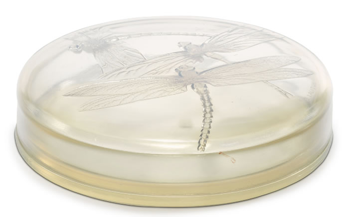 R. Lalique Georgette Box