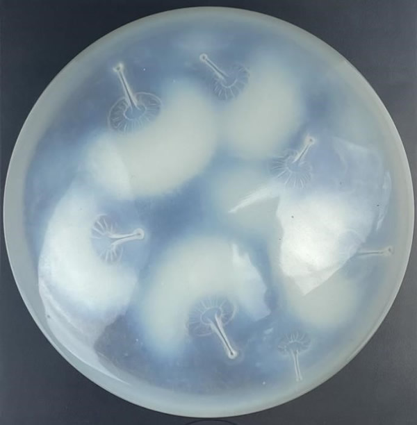 R. Lalique Houppes Powder Box