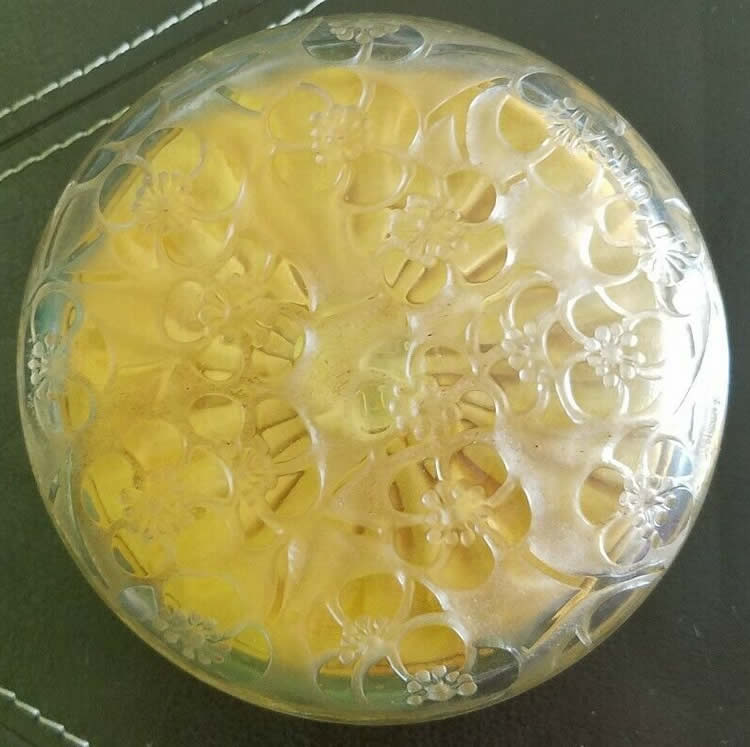 R. Lalique Le Lys Powder Box