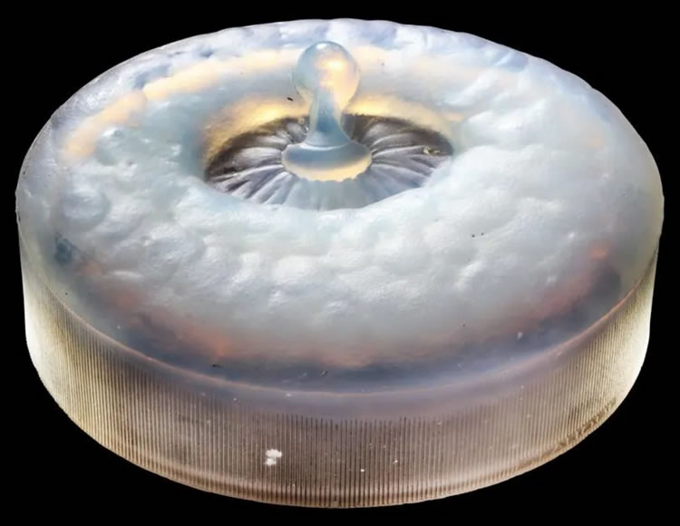 R. Lalique Le Perle Noir Box