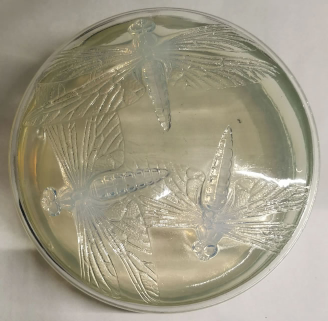 R. Lalique Libellules Boite