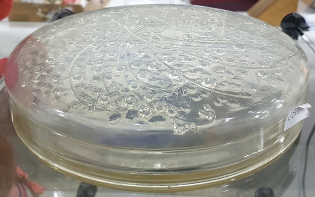 R. Lalique Muguets Box