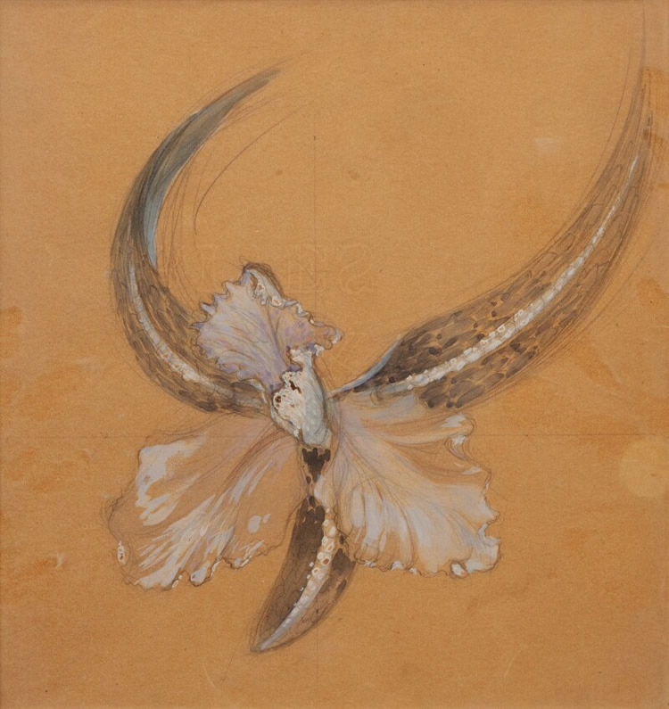 Rene Lalique Orchidee Cattleya Comb Drawing