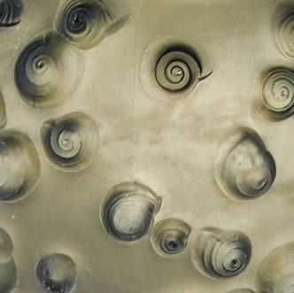 Ren&eacute; Lalique Palissy Vase-Close-Up