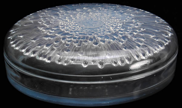 R. Lalique Tokio Boite