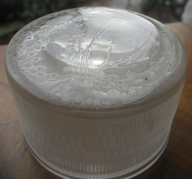 R. Lalique Un Grande Vase-1 Box