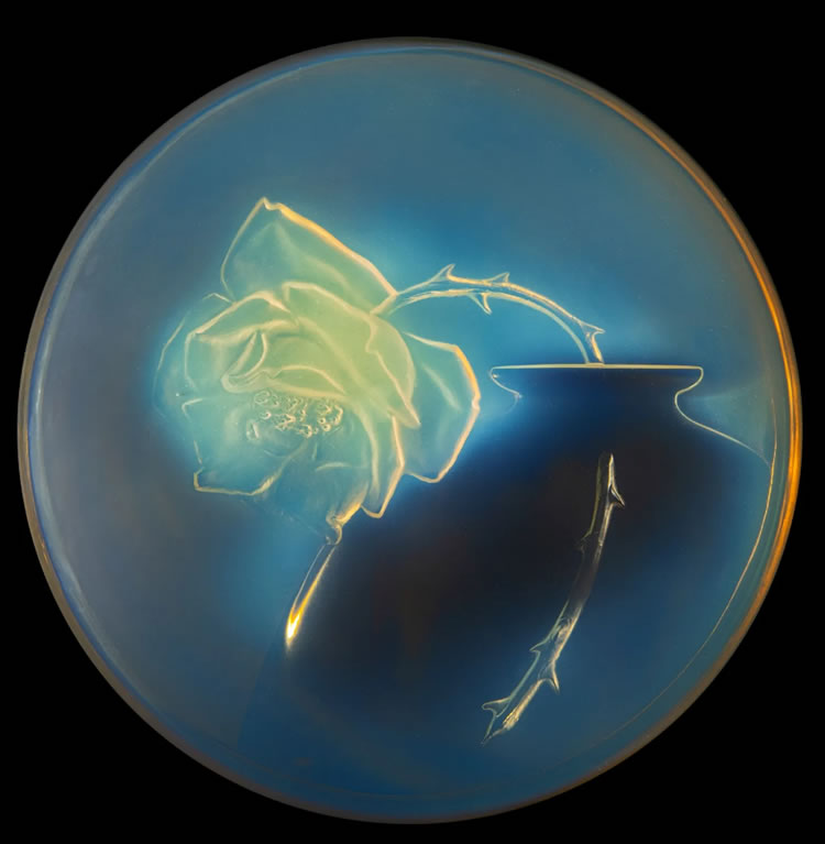 R. Lalique Une Rose Box