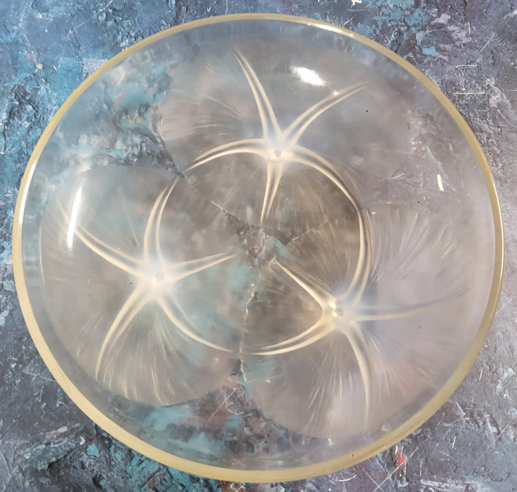 R. Lalique Volubilis Coupe